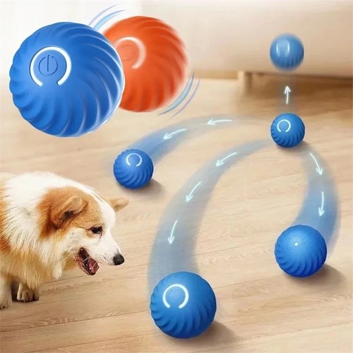 Interactive smart dog - interactive,