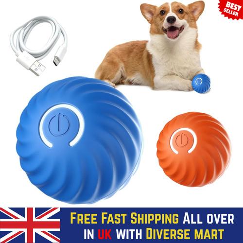 Smart dog puppy - dog, bouncing