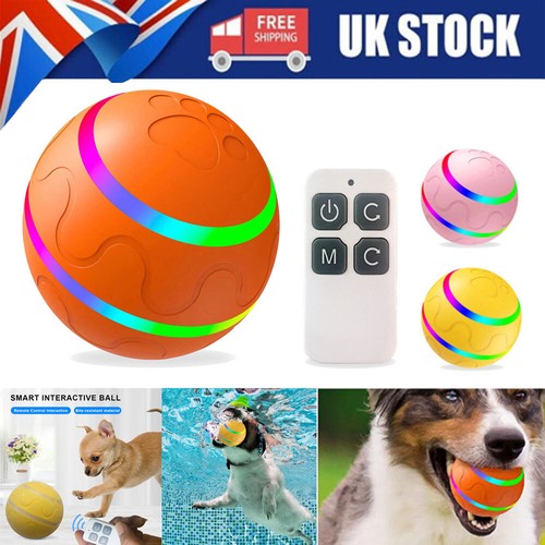 Dog ball interactive - dog, toys