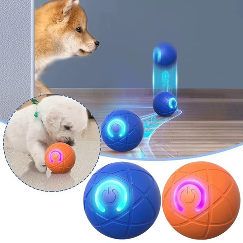 Smart dog puppy bouncing - puppy,