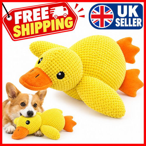 Pet dog chew toys calming - dog,