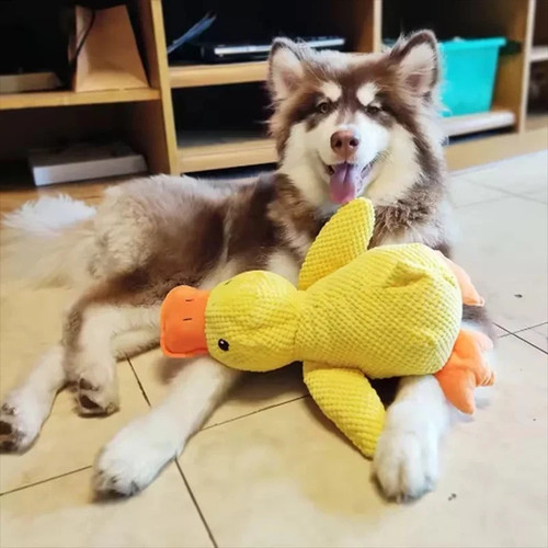 Pet dog chew toys calming - chew, duck