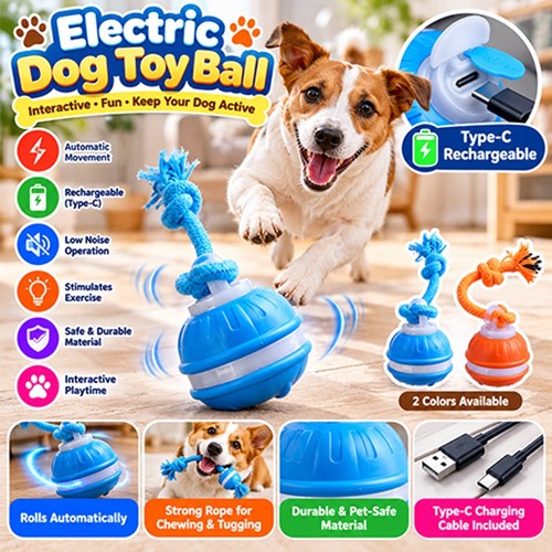 Chase buddy dog - dog, boredom