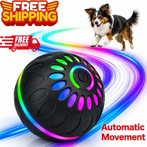Interactive dog toys - interactive,