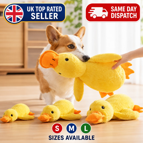 Pet dog chew - dog, calming