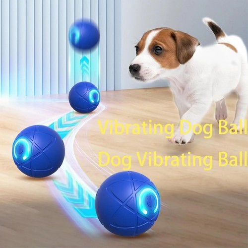 Smart dog puppy bouncing - smart,