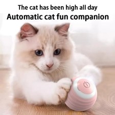 Rolling Ball Smart Pet Toy