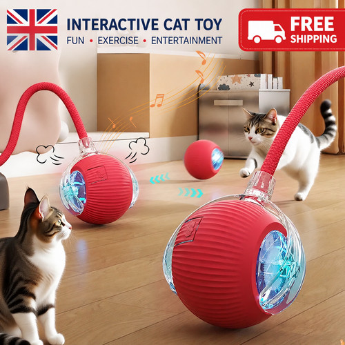 Automatic rolling ball - ball, smart