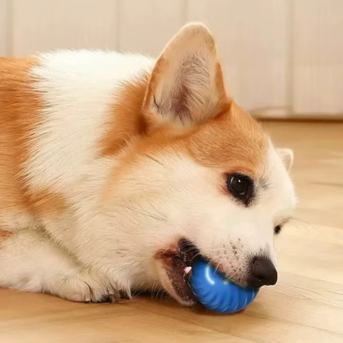Electronic small dog toy - dog,