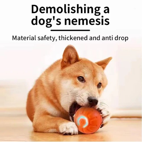 Smart dog toy ball - toy,