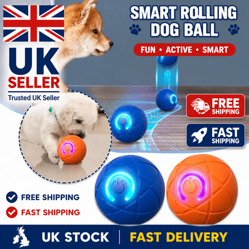 Smart dog puppy - bouncing, toy