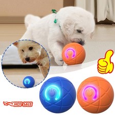 Self Rolling Ball Dog Toy