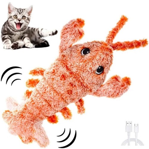 Pets cat dog - dog, funny