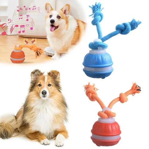 Automatic moving pets dog - moving, ball
