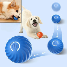 Electronic Small Dog Toy Ball