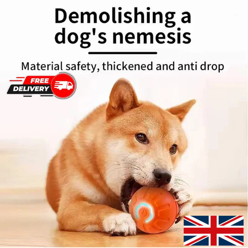 Smart dog toy - smart,