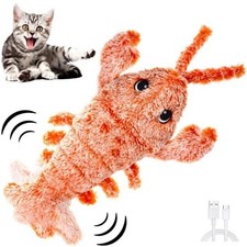 Pets Cat Toys Funny Kitten