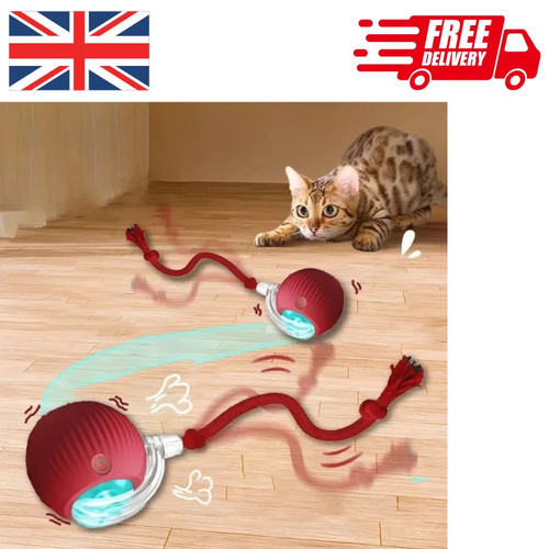 Interactive dog cat toy - dog,