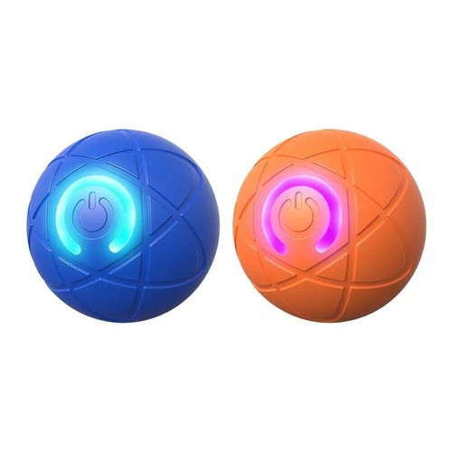 Smart dog puppy bouncing - puppy,