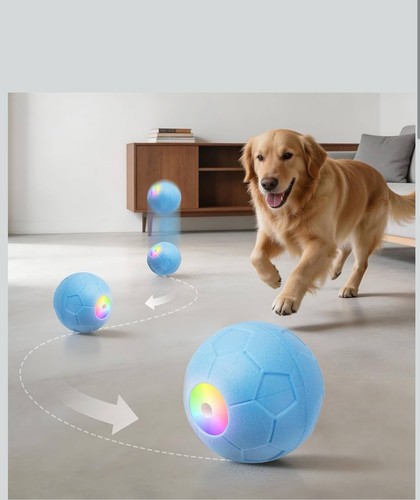 Smart dog puppy bouncing - puppy,