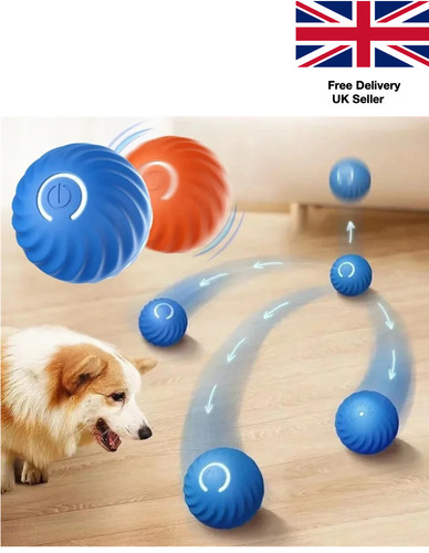 Smart dog puppy - smart,