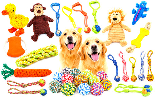 Dog rope toys - rope,