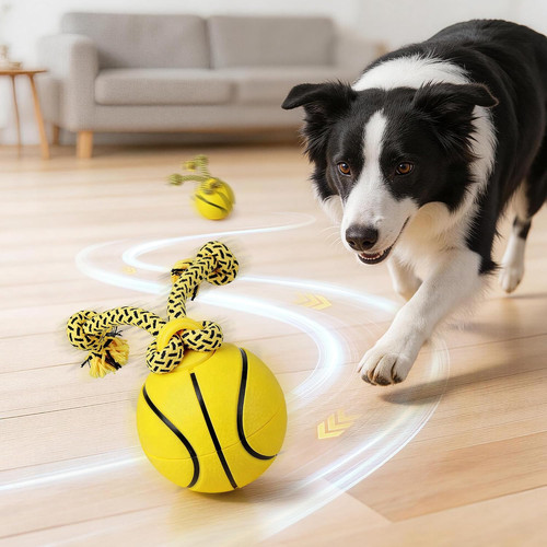 Interactive dog ball toys - dog,