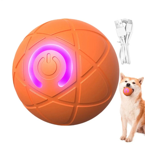 Smart dog toy - smart, automatic