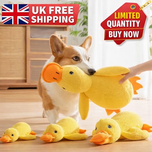 Pet dog chew - chew, calming
