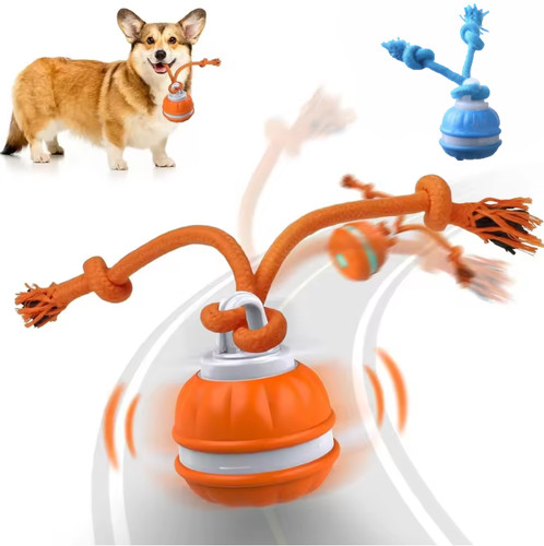 Automatic moving pets - dog, ball