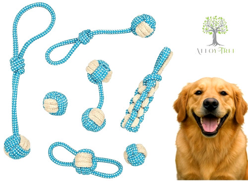 Pack braided dog rope - dog,