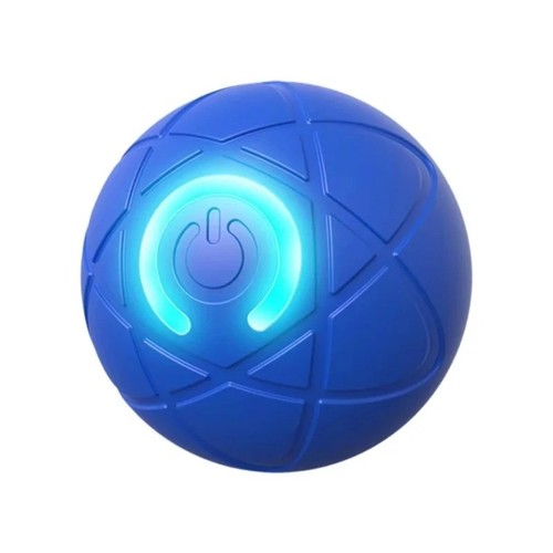 Smart dog puppy - dog, bouncing