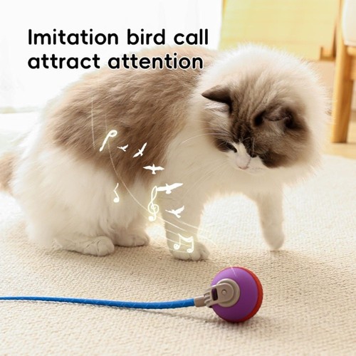 Automatic rolling ball smart - rolling,