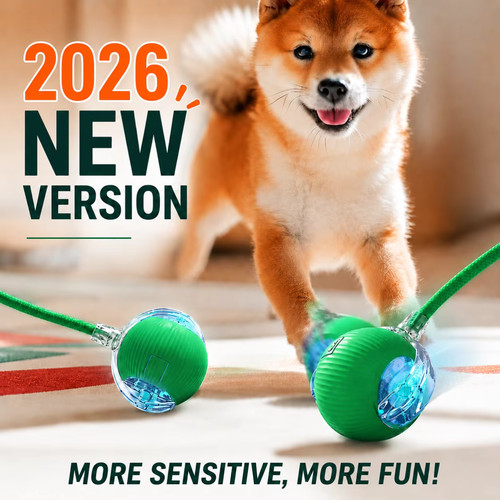 Automatic rolling ball cat toy - rolling,