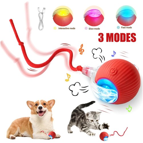 Electric self moving kitten - uk, self-moving